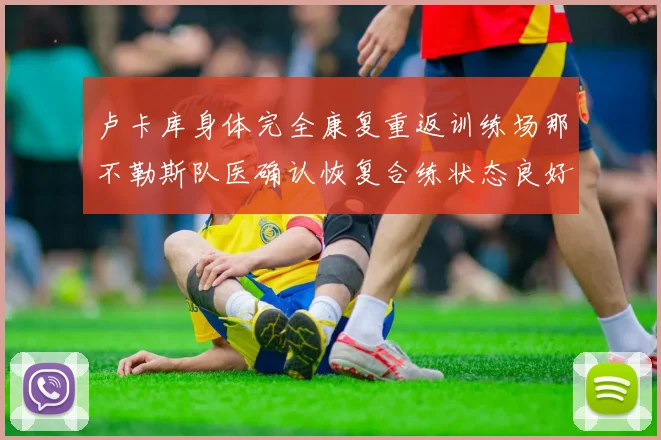 卢卡库身体完全康复重返训练场那不勒斯队医确认恢复合练状态良好